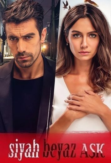 مسلسل حب ابيض واسود مترجم افلام عرب بلس